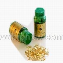 �����񺣹���